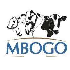 Mbogo Tanzania Limited_569.jpeg